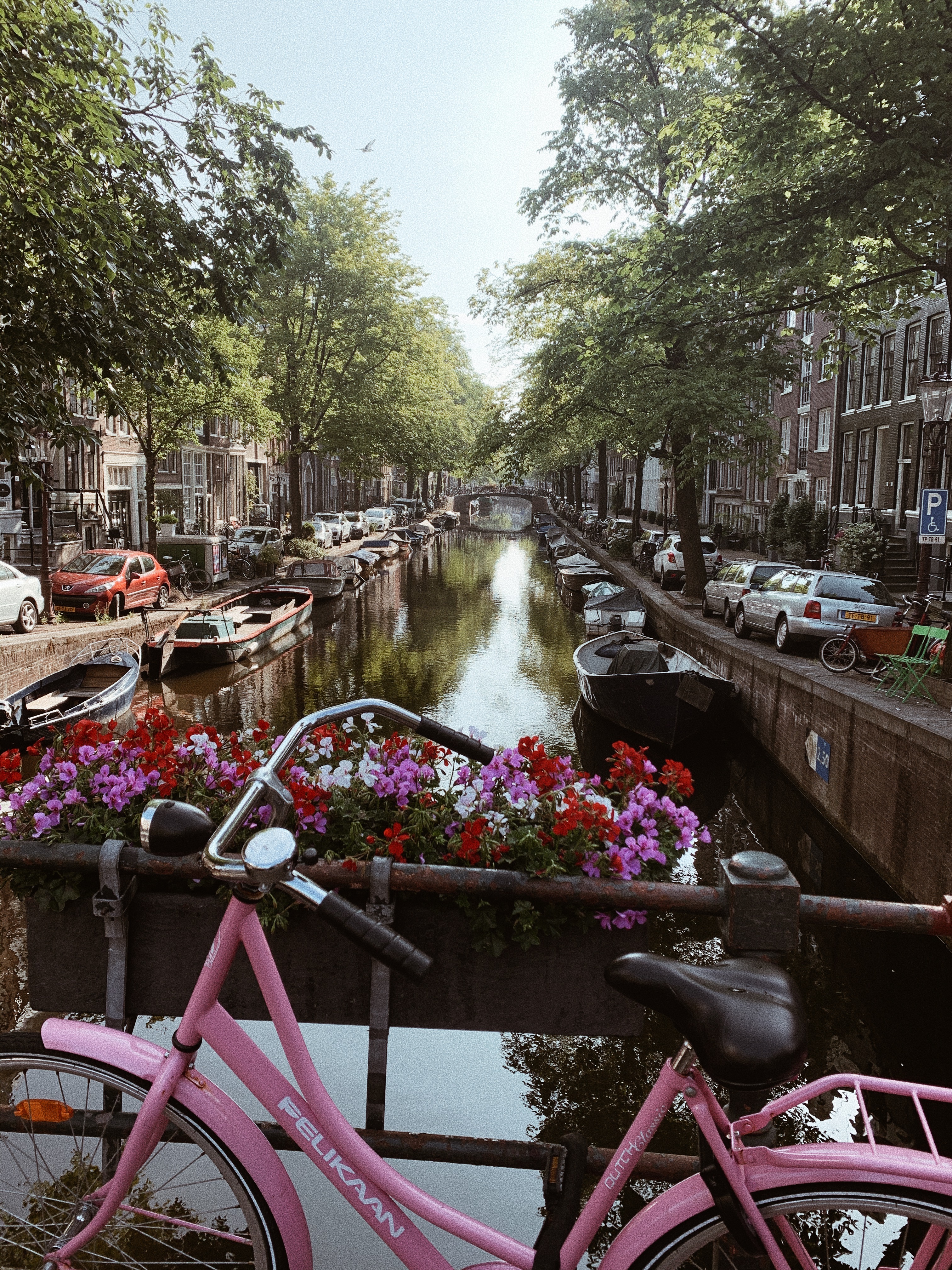 These 7 cultural activities are really Dutch